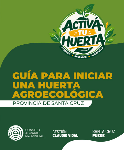 Guía para iniciar una huerta agroecológica