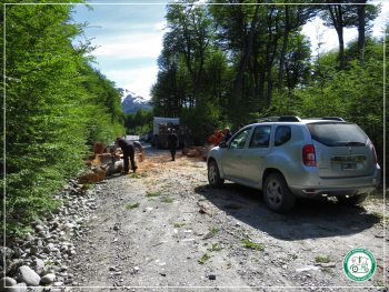 Delegación El Chaltén: Concretaron trabajos de poda y volteo de árboles peligrosos