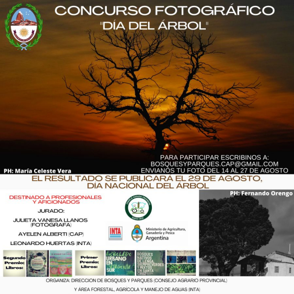 Convocatoria abierta para el Concurso Fotográfico Día del Árbol