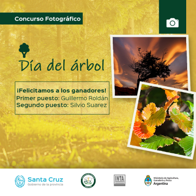 Resultados del II Concurso Fotográfico "Día del árbol"