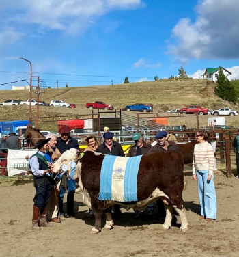 EL CONSEJO AGRARIO PROVINCIAL FUE PROTAGONISTA EN LA 49ª FERIA GANADERA BOVINA DE SANTA CRUZ