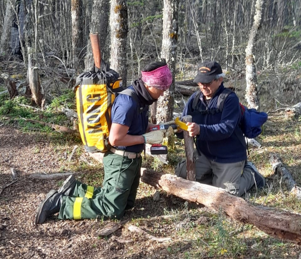 Iniciamos las tareas de restauración del sendero en la Reserva Lago del Desierto