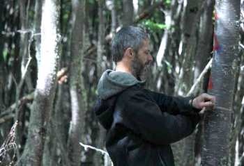 Segundo Inventario Nacional de Bosques Nativos