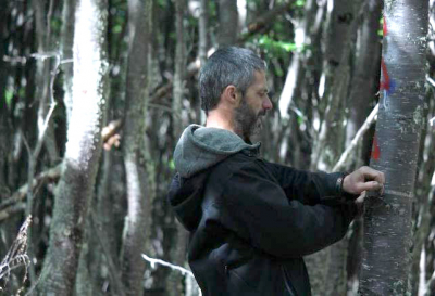 Segundo Inventario Nacional de Bosques Nativos