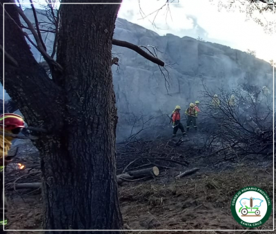 Incendio en el Parque Nacional Los Glaciares Zona Norte