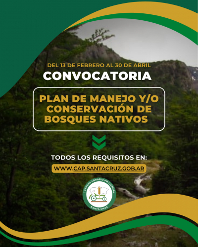 Convocatoria abierta: Presentación de planes de manejo y conservación de bosques nativos