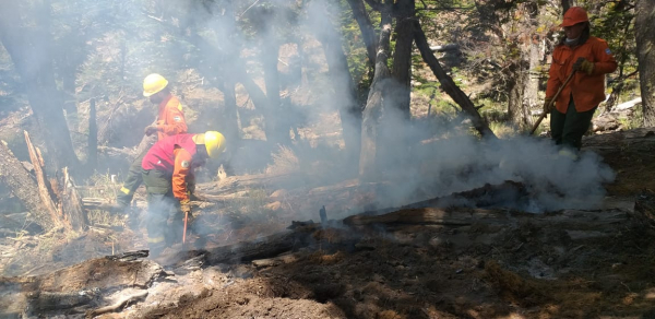 En el Día Internacional del Combatiente de Incendios Forestales se homenajea a los brigadistas