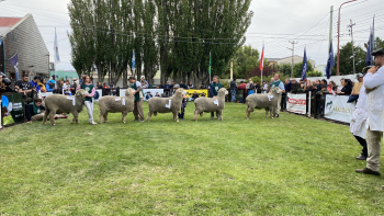La Sociedad Rural Río Gallegos abre sus puertas a la comunidad con una nueva edición de la Exposición Ganadera