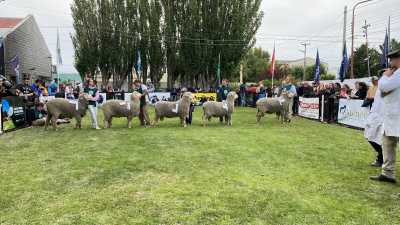 La Sociedad Rural Río Gallegos abre sus puertas a la comunidad con una nueva edición de la Exposición Ganadera