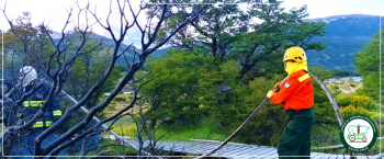 Incendio de Interfase en las afueras de El Chaltén