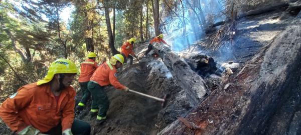 Hoy se conmemora el Día Internacional del Combatiente de Incendios Forestales