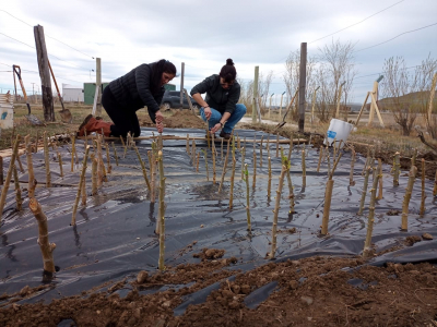 Trabajos realizados en la Delegación CAP Puerto Santa Cruz