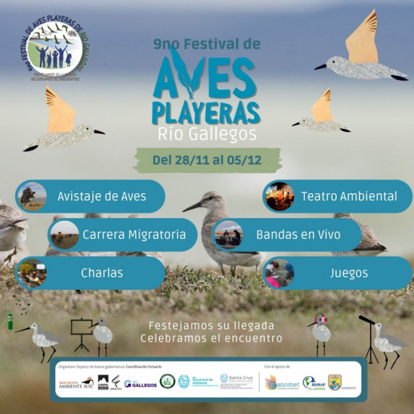Lanzan la novena edición del Festival de Aves Playeras