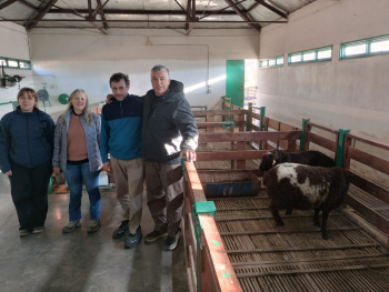 El Consejo Agrario Provincial gestiona la incorporación de nueva genética ovina a la Escuela Agropecuaria de Gobernador Gregores