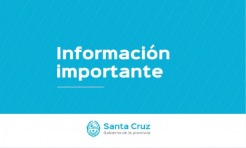 Influenza Aviar: Estas son algunas de las recomendaciones que tenés que saber para prevenir el contagio