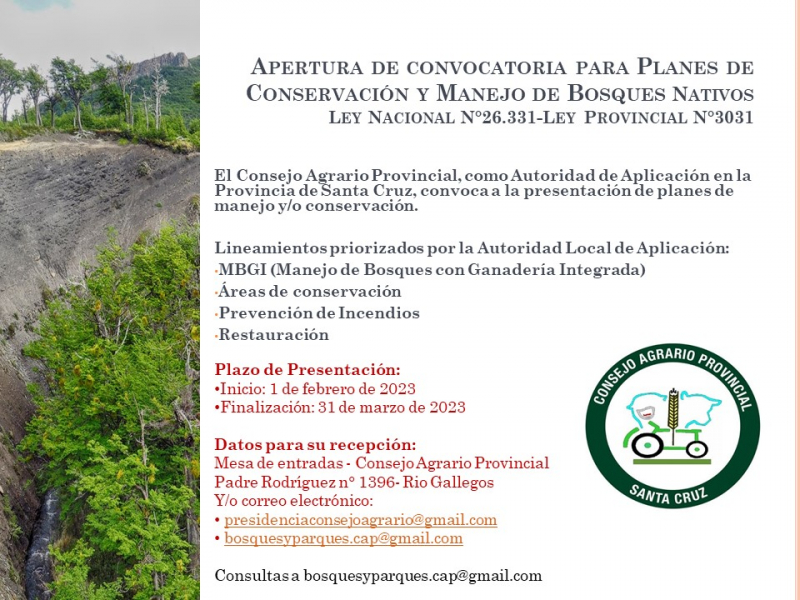 Convocatoria para presentar planes de Manejo y/o Conservación en Bosques Nativos